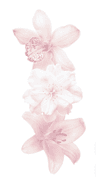 ☆*: .。.emilyy .。.:*☆님의 프로필 사진