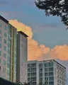 노션지구ㅣ사회복지님의 프로필 사진