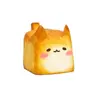 Bug님의 프로필 사진