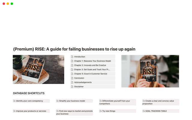 (Premium) RISE: A Guide For Failing Businesses